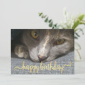Invitation joyeux anniversaire mignon chat photo or calligrap (Debout devant)