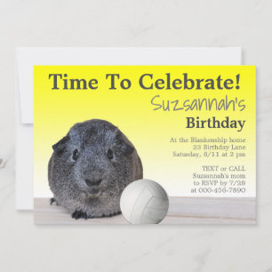 Invitation Joyeux Anniversaire Personnalisé de Volley-ball av