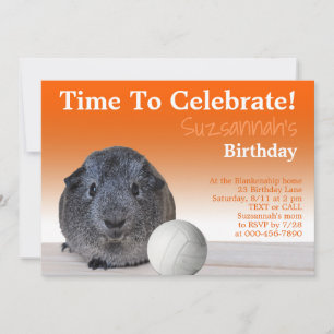 Invitation Joyeux Anniversaire Personnalisé de Volley-ball de