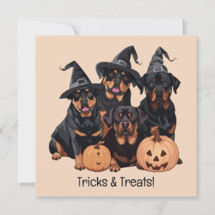 Invitation Joyeux chien Rottweiler Halloween Jack-o'-lantern