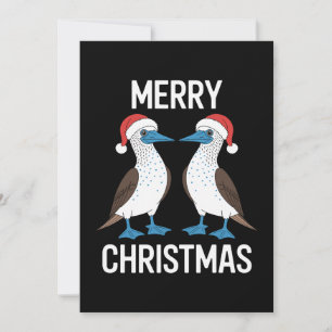 Invitation Joyeux Noël Oiseau Sula aux Pieds Bleus Chapeau de