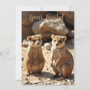 Invitation Jumeaux Quokka australiens