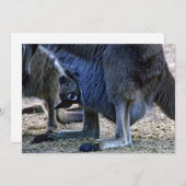 Invitation Kangourou bébé dans la poche de la mère - Australi (Devant / Derrière)