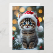 Invitation Kätzchen mit roter Weihnachtsmütze (Devant / Derrière)