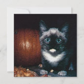 Invitation Kitten et Citrouille pour Halloween (Devant)