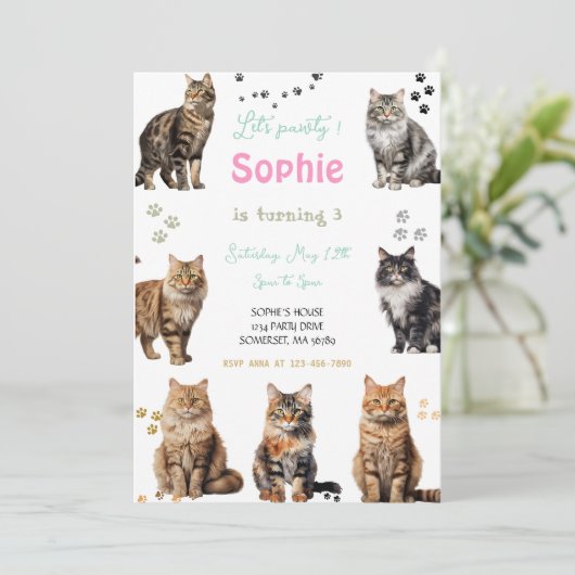 Invitation Kitten Party Faisons Pawty Party Kitty Chat Annive (Debout devant)