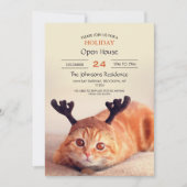 Invitation kitten wearing a Christmas (Devant)