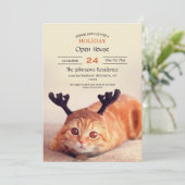 Invitation kitten wearing a Christmas (Debout devant)