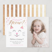 Kitty Chat rose or fête d'anniversaire Photo