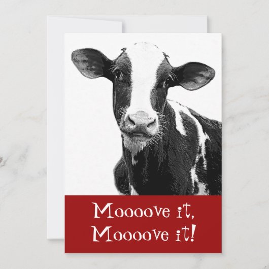 Invitation La danse jusqu'aux vaches viennent à la maison - (Devant)