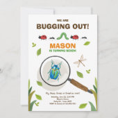 Invitation La désinsectisation de l'insecte d'invitation (Devant)