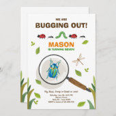 Invitation La désinsectisation de l'insecte d'invitation (Devant / Derrière)