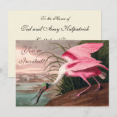 Invitation La faune des oiseaux d'Audubon de Spoonbill Roseat (Devant / Derrière)