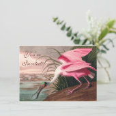 Invitation La faune des oiseaux d'Audubon de Spoonbill Roseat (Debout devant)