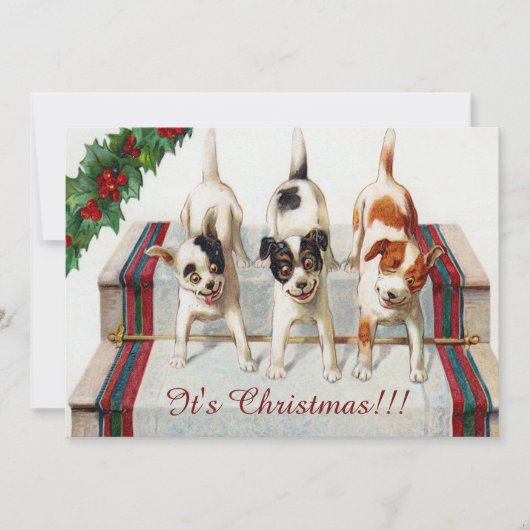 Invitation La fête de Noël de joli chien (Devant)
