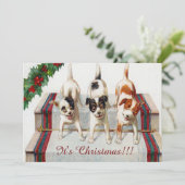 Invitation La fête de Noël de joli chien (Debout devant)
