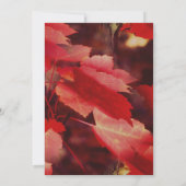 Invitation La nature des feuilles d'automne rouges (Dos)