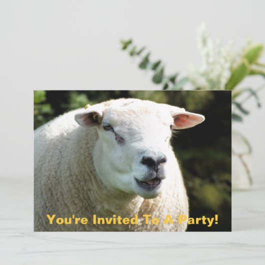 INVITATION LA RAM (Debout devant)