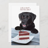 Invitation La vie est courte, manger le gâteau - Black Lab (Devant / Derrière)