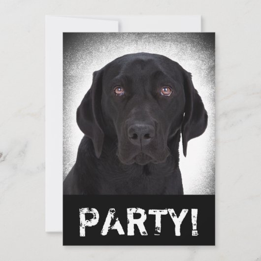 Invitation Labrador retriever (Devant)
