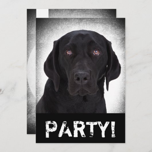 Invitation Labrador retriever (Devant / Derrière)