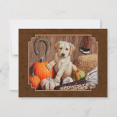 Invitation Labrador Retriever (Devant)