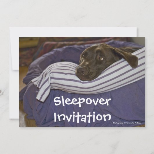 Invitation Labrador Retriever au lit (Devant)