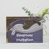Invitation Labrador Retriever au lit (Debout devant)