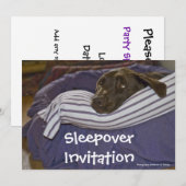 Invitation Labrador Retriever au lit (Devant / Derrière)