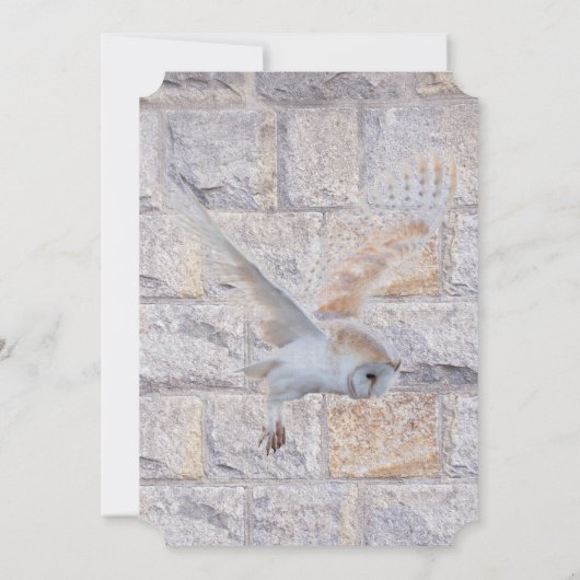 Invitation Labyrinthe Ce n’est qu’un hibou Mariage pour toujo (Dos)