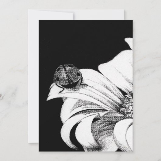 Invitation Ladybird (Devant)