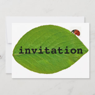 Invitation Ladybug