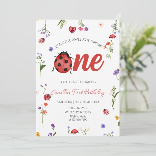 Invitation Ladybug First Birthday  (Debout devant)