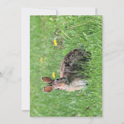 Invitation Lapin (Devant)