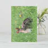 Invitation Lapin (Debout devant)