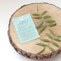 Lapin Blanc Qui Connaît Maman Meilleur Jeu De Douc