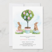 Invitation Lapin de Pâques lapins Printemps bébé Genre Révéla (Devant)