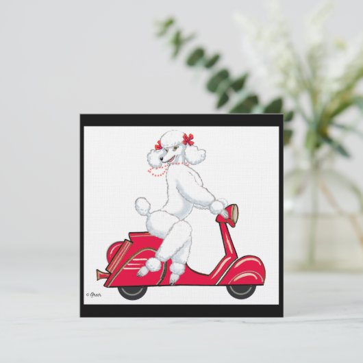 Invitation Le caniche blanc sur scooter (Debout devant)