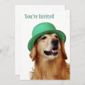 Invitation Le jour de St Patrick de golden retriever (Devant / Derrière)