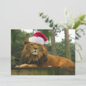 Invitation Le Lion de Noël porte le chapeau du Père Noël (Debout devant)
