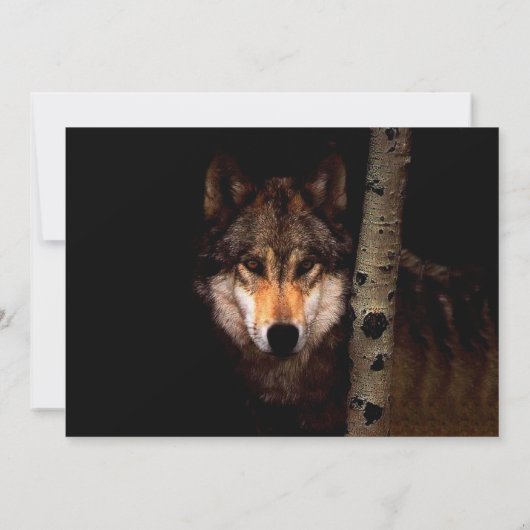 Invitation Le loup fantôme (Dos)