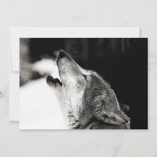 Invitation Le loup noir et blanc hurle à l'invitation de la l