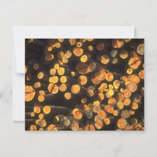 Invitation Le soleil d'après-midi note l'invitation de la (Devant)