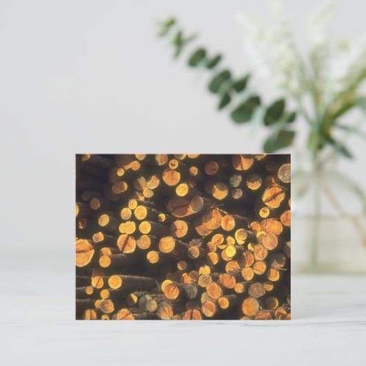 Invitation Le soleil d'après-midi note l'invitation de la (Debout devant)