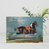 Invitation L'élevage du Cheval Piebald "Cehero" (Debout devant)