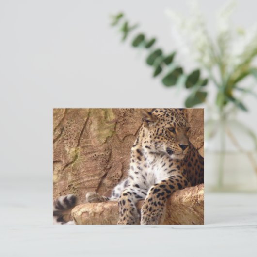 Invitation Leopard (Debout devant)