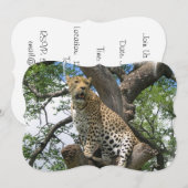 Invitation Léopard (Devant / Derrière)