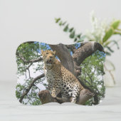 Invitation Léopard (Debout devant)