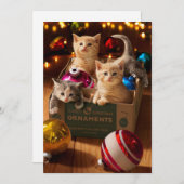 Invitation Les chatons dans la boîte à ornements (Devant / Derrière)