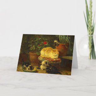 Invitation Les chatons en jeu